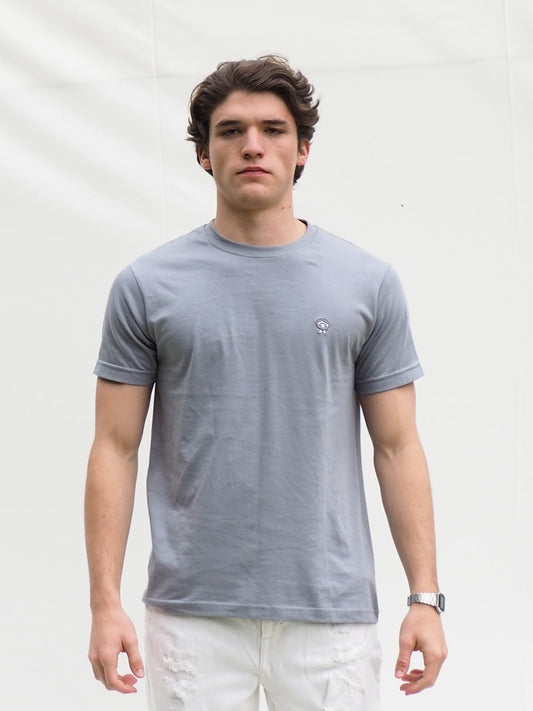T-Shirt Gris Plata
